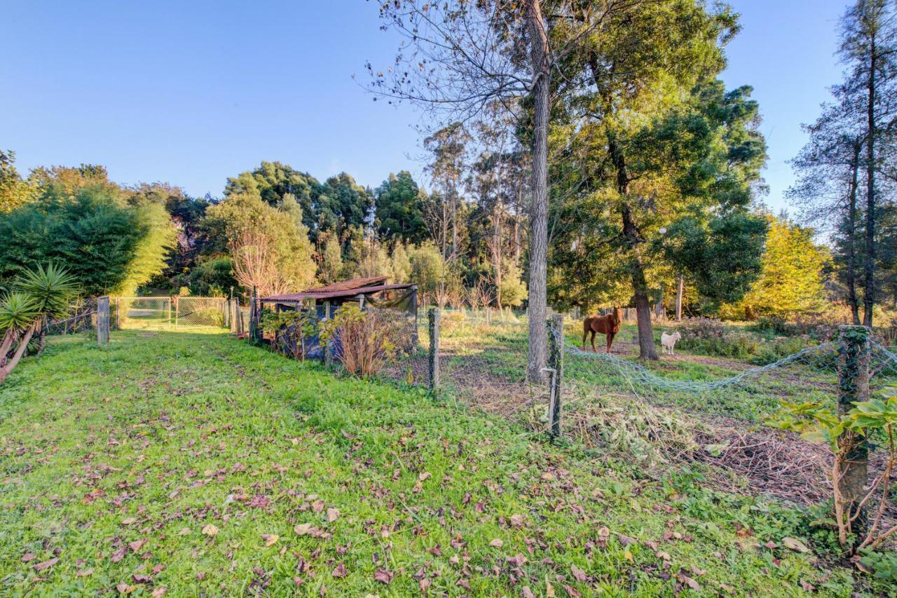Casa do Moinho Rural campo e praia , 9 pessoas, animais benvindos Espinho (Aveiro) Exterior foto